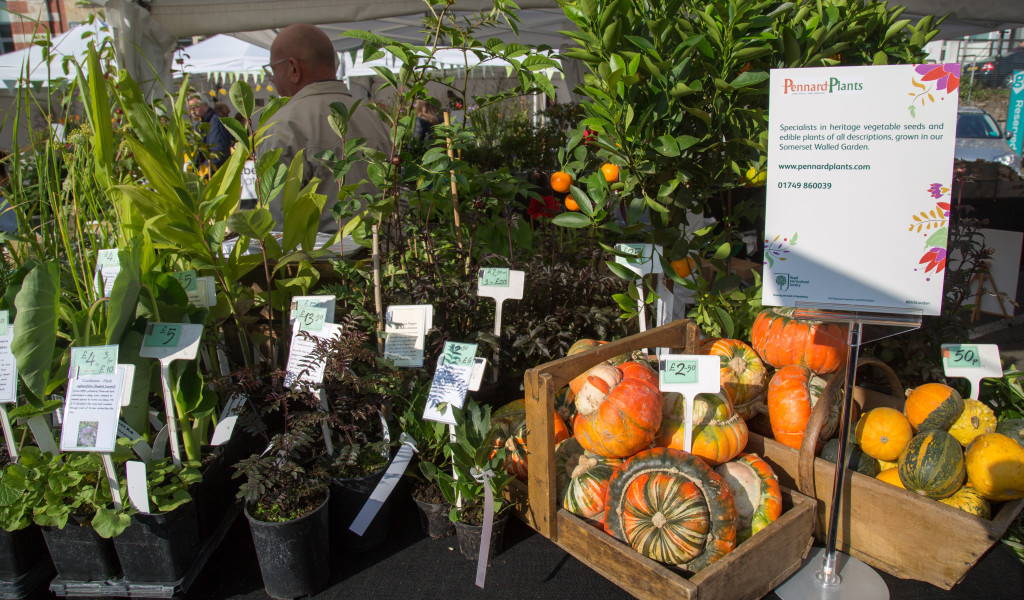 Marylebone Farmers Market, London by Stephanie Sadler, Little Observationist