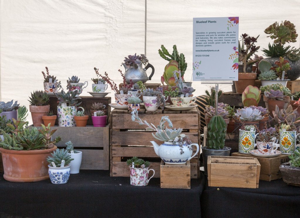 Marylebone Farmers Market, London by Stephanie Sadler, Little Observationist