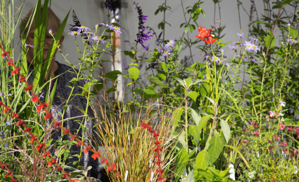 Marylebone Farmers Market, London by Stephanie Sadler, Little Observationist