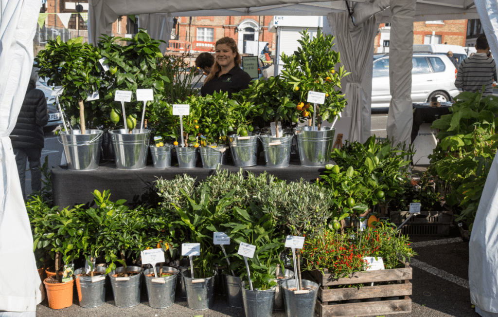 Marylebone Farmers Market, London by Stephanie Sadler, Little Observationist