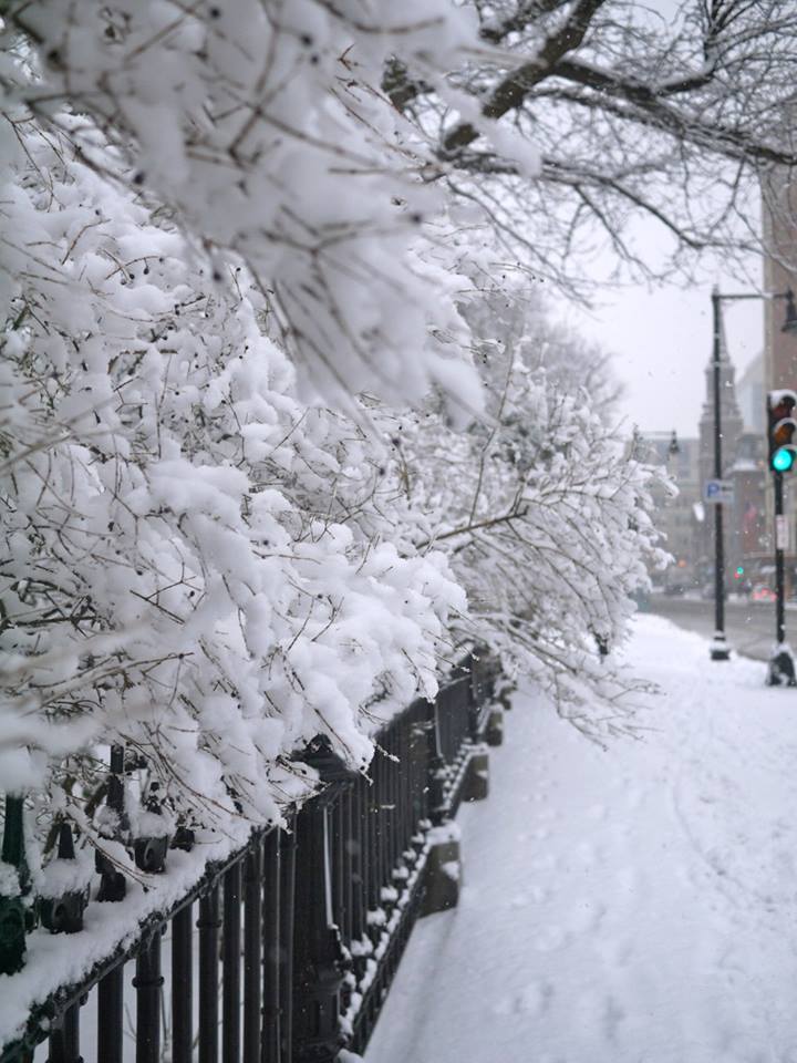 boston snow