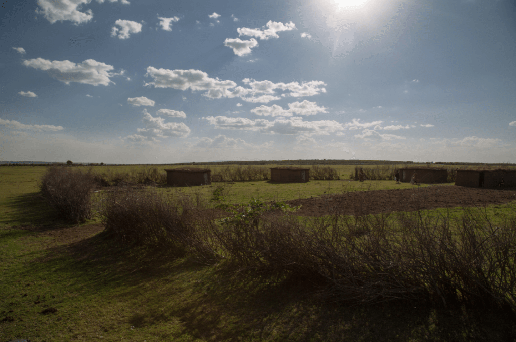 Maasai Mara, Kenya by Stephanie Sadler, Little Observationist