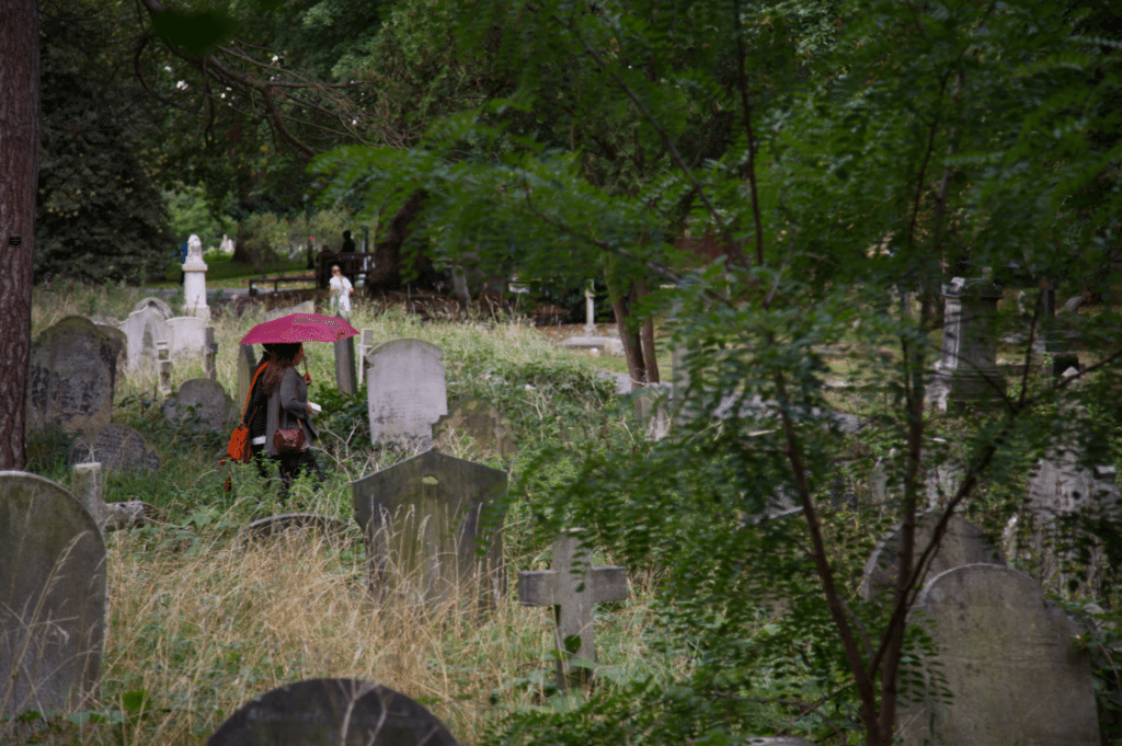 London Cemeteries by Stephanie Sadler, Little Observationist