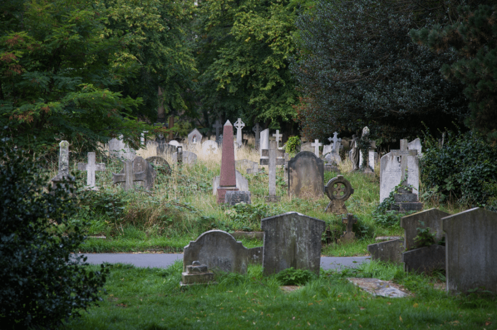 London Cemeteries by Stephanie Sadler, Little Observationist