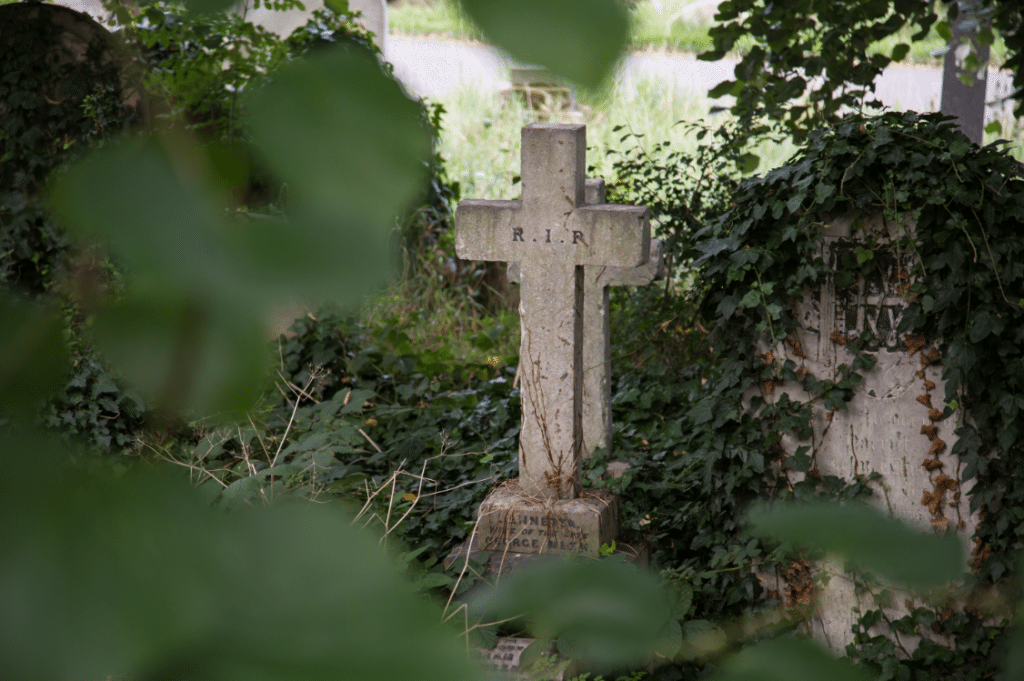 London Cemeteries by Stephanie Sadler, Little Observationist