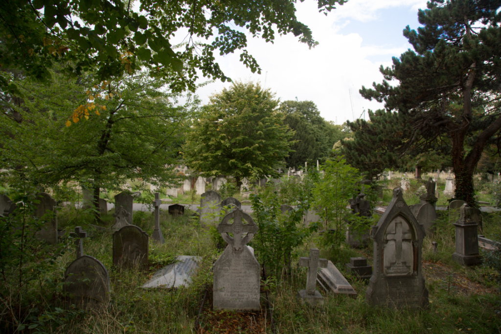 London Cemeteries by Stephanie Sadler, Little Observationist