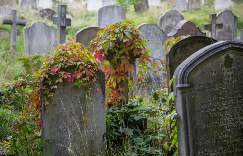 London Cemeteries by Stephanie Sadler, Little Observationist