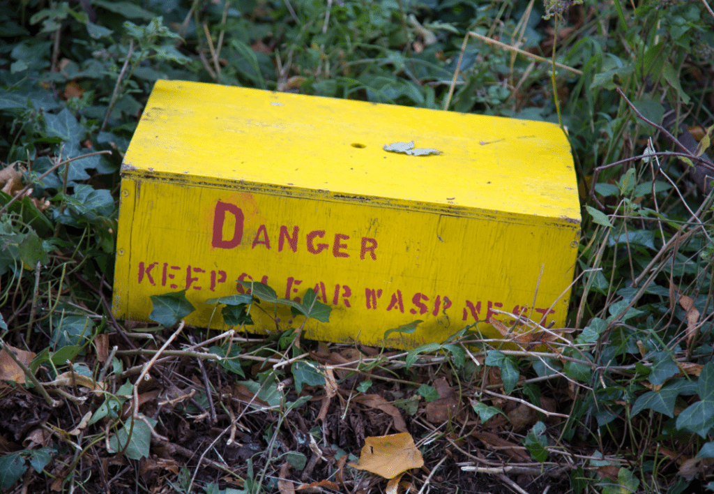 London Cemeteries by Stephanie Sadler, Little Observationist