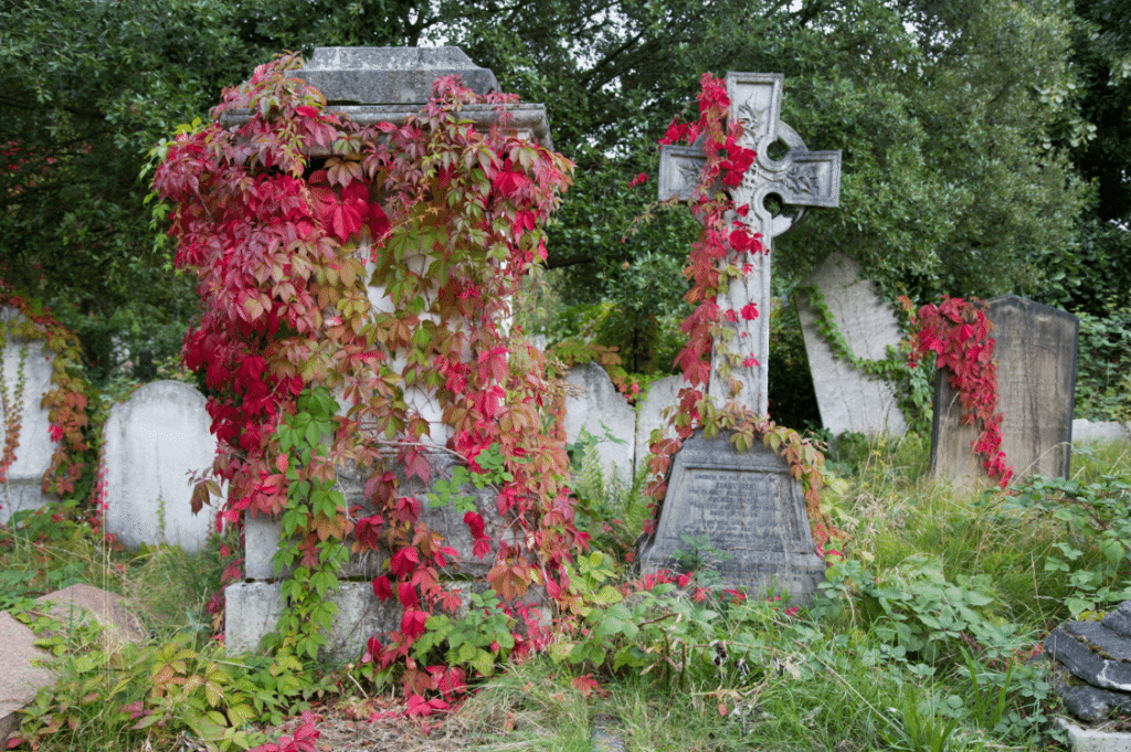 London Cemeteries by Stephanie Sadler, Little Observationist