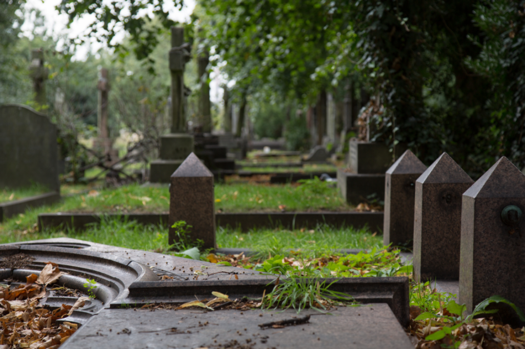 London Cemeteries by Stephanie Sadler, Little Observationist