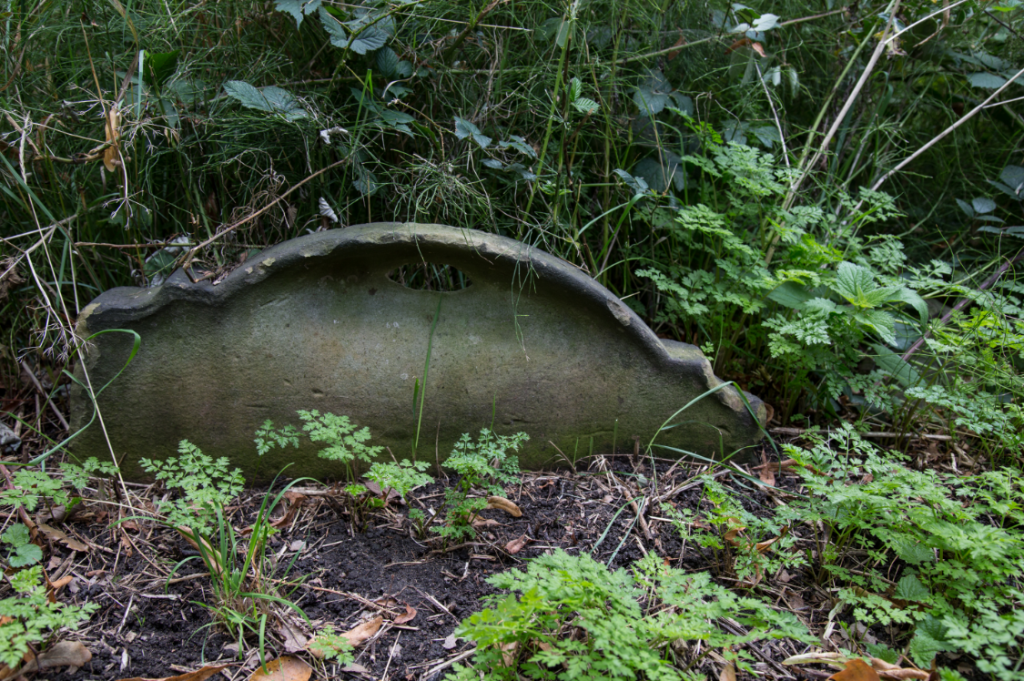 London Cemeteries by Stephanie Sadler, Little Observationist