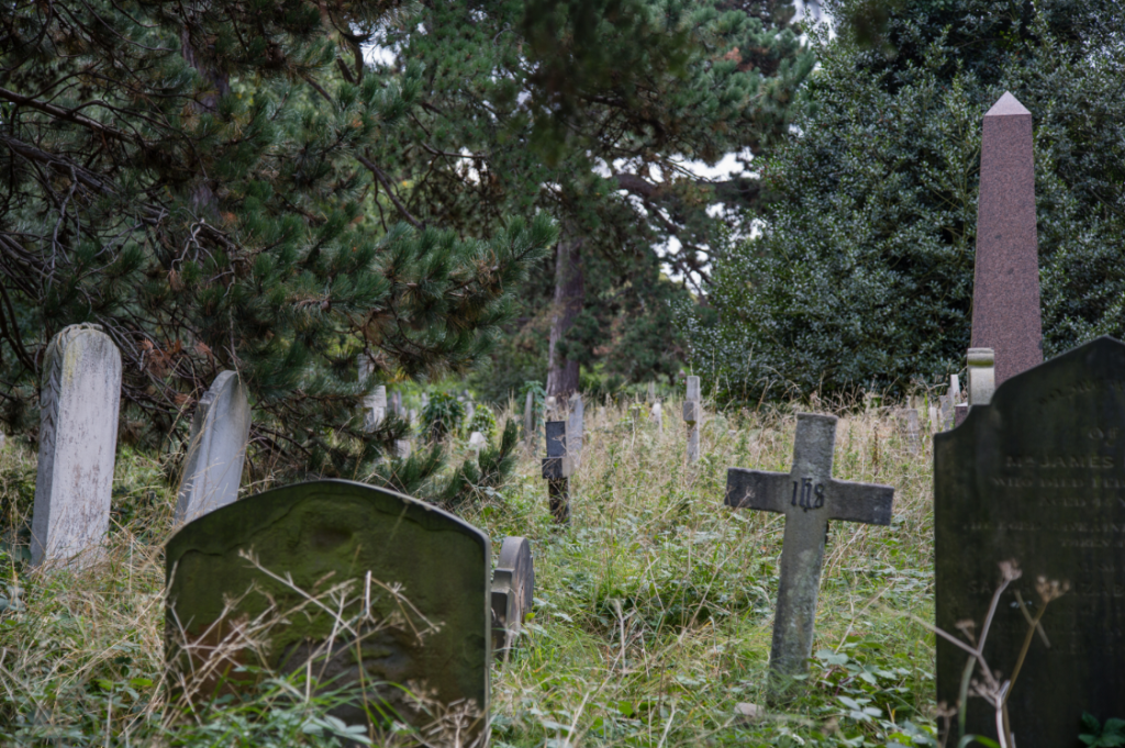 London Cemeteries by Stephanie Sadler, Little Observationist