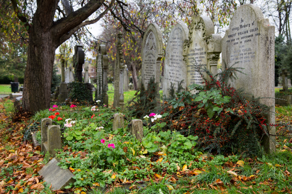 London Cemeteries by Stephanie Sadler, Little Observationist