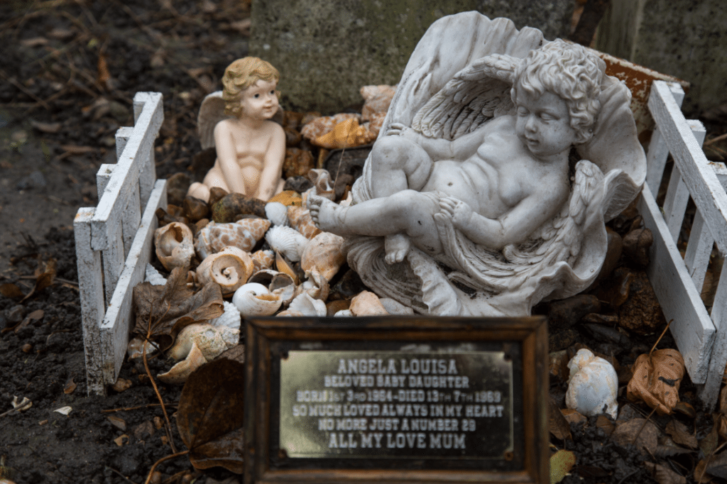 London Cemeteries by Stephanie Sadler, Little Observationist