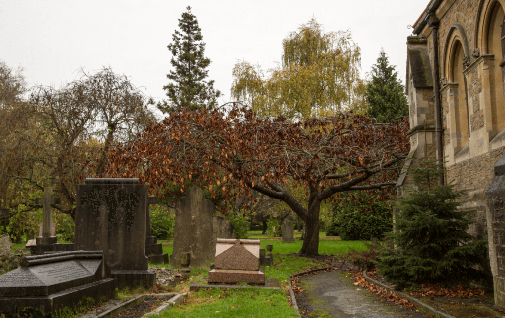 London Cemeteries by Stephanie Sadler, Little Observationist