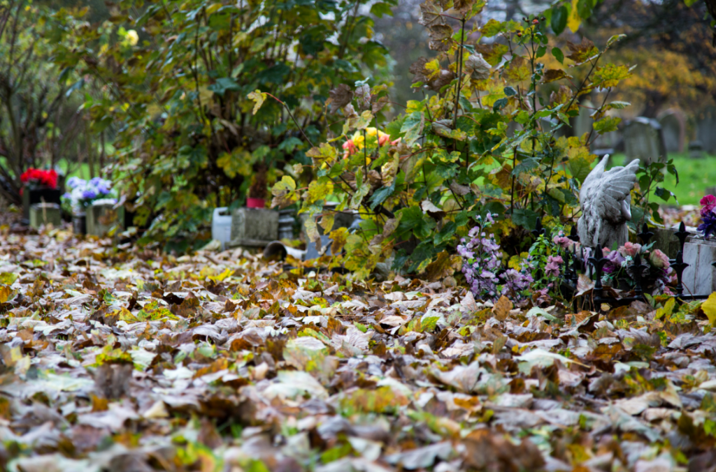 London Cemeteries by Stephanie Sadler, Little Observationist