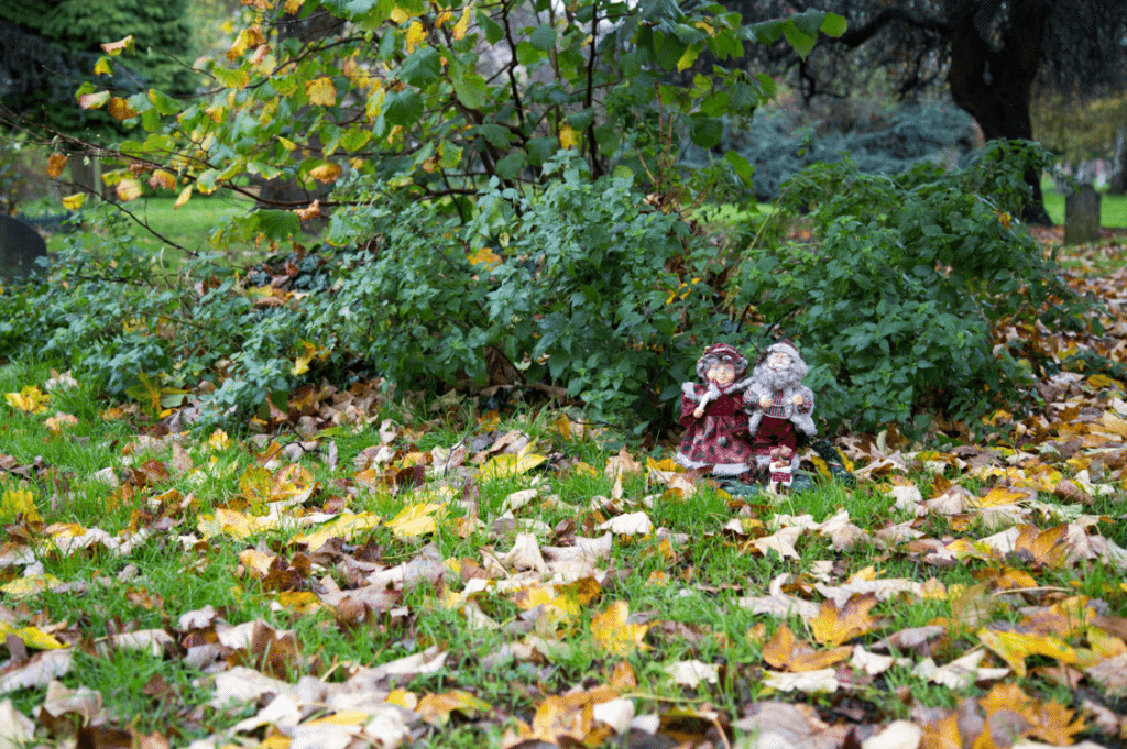 London Cemeteries by Stephanie Sadler, Little Observationist