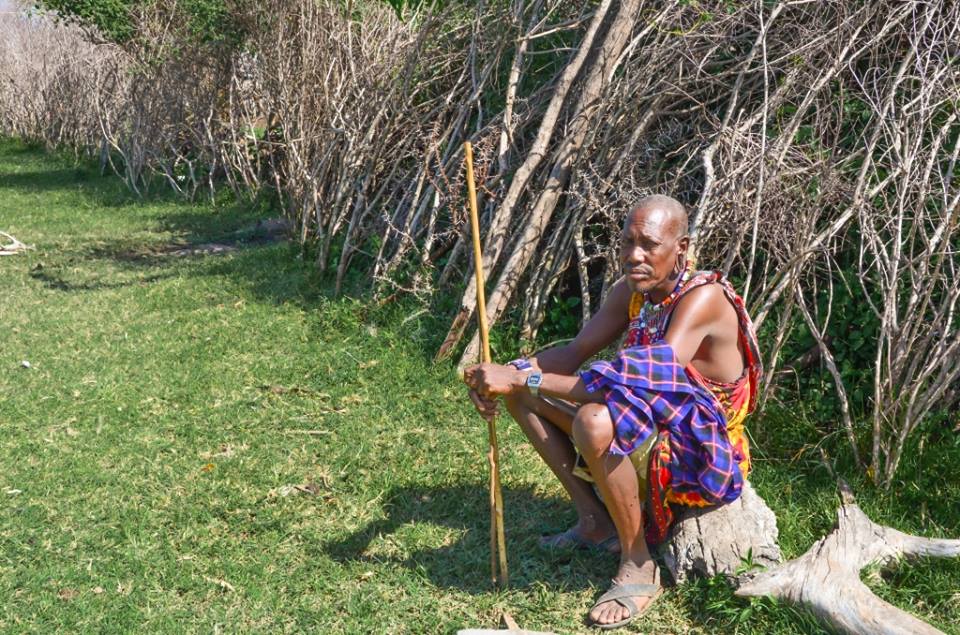 Joseph Lepore, Maasai Interview, Little Observationist