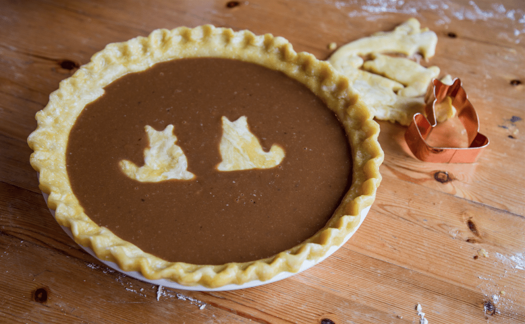 Pumpkin Pie by Stephanie Sadler, Little Observationist