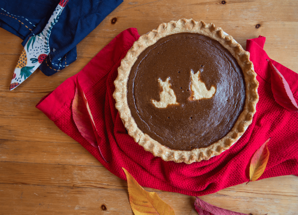 Pumpkin Pie by Stephanie Sadler, Little Observationist