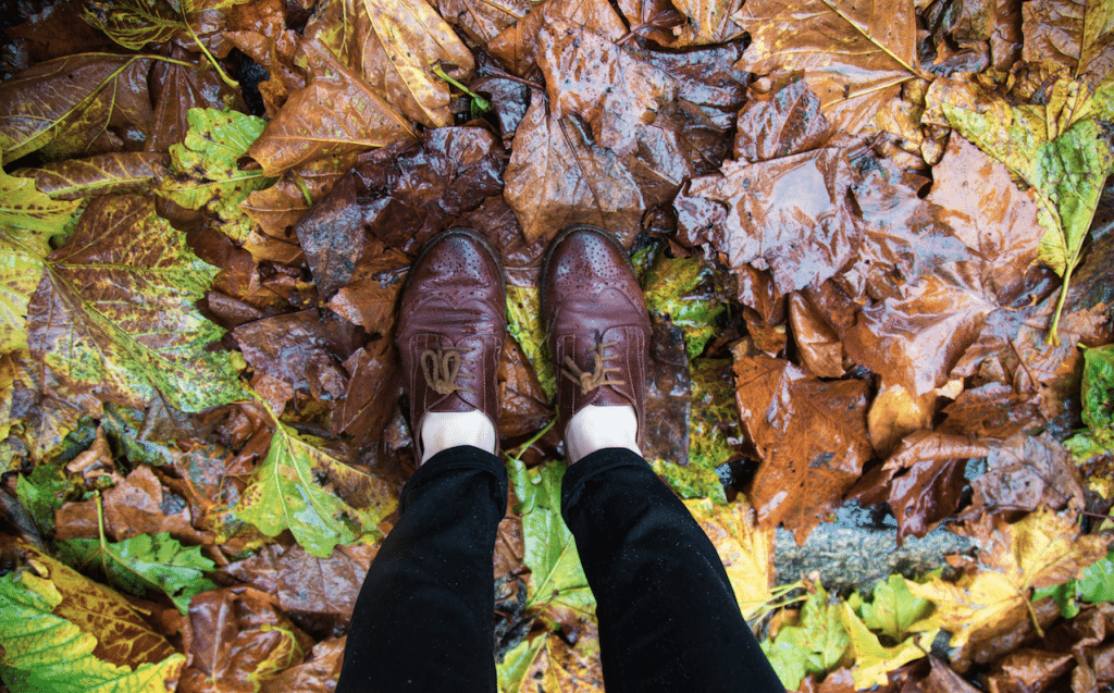 Autumn Rain by Stephanie Sadler, Little Observationist