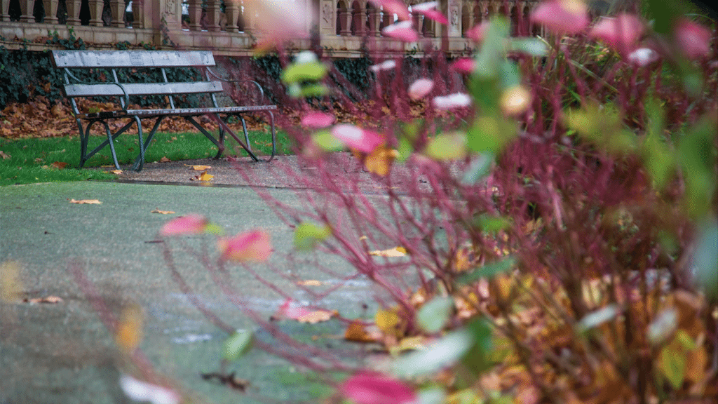 Autumn Rain by Stephanie Sadler, Little Observationist