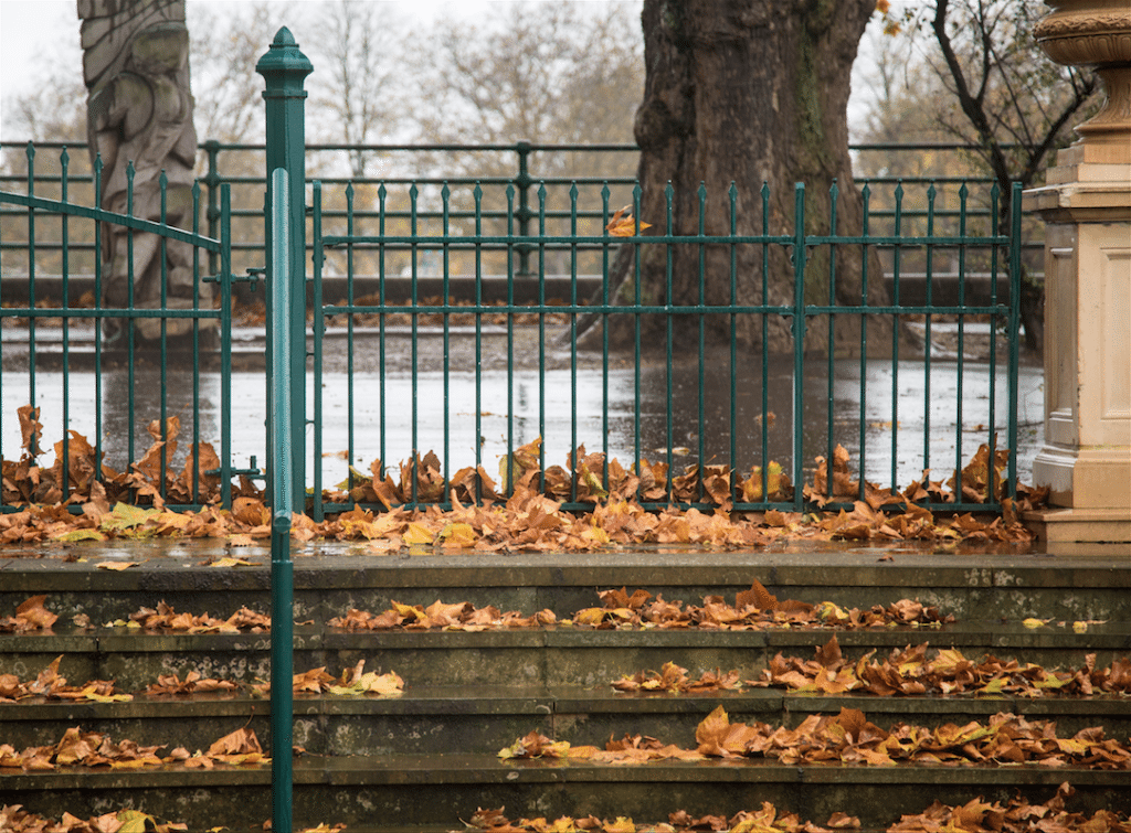 Autumn Rain by Stephanie Sadler, Little Observationist