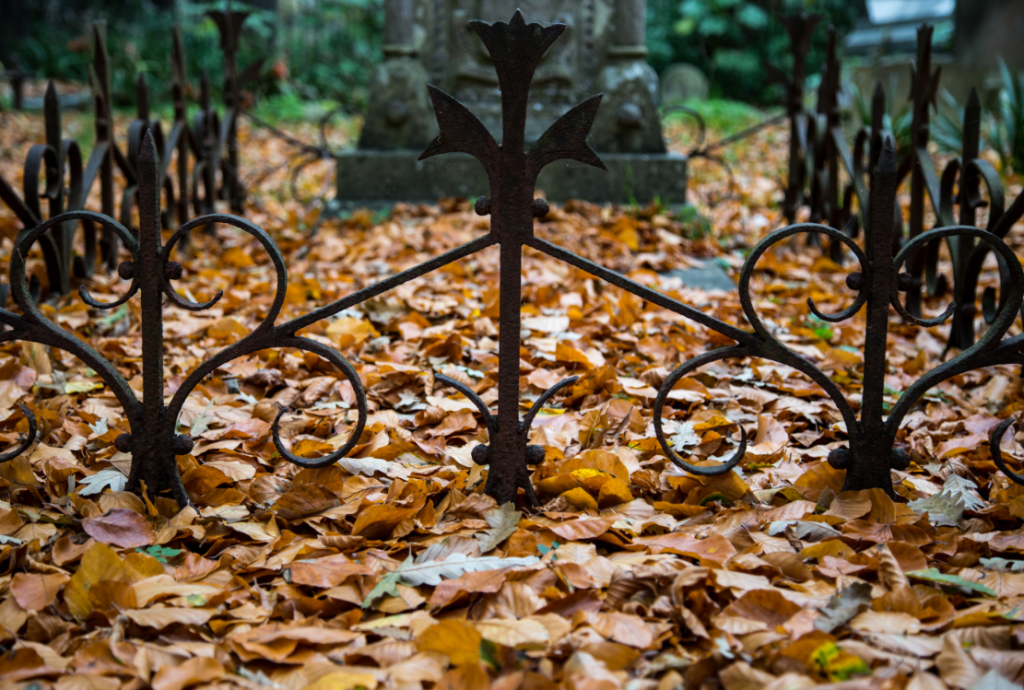 London Cemeteries by Stephanie Sadler, Little Observationist