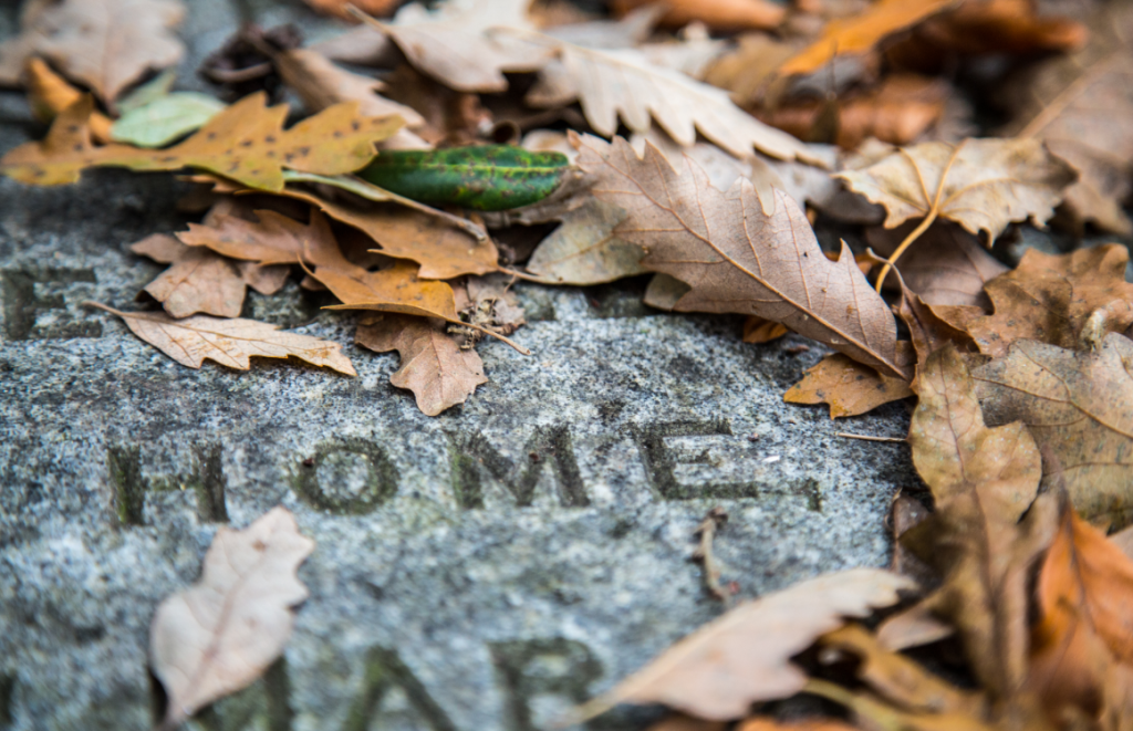 London Cemeteries by Stephanie Sadler, Little Observationist