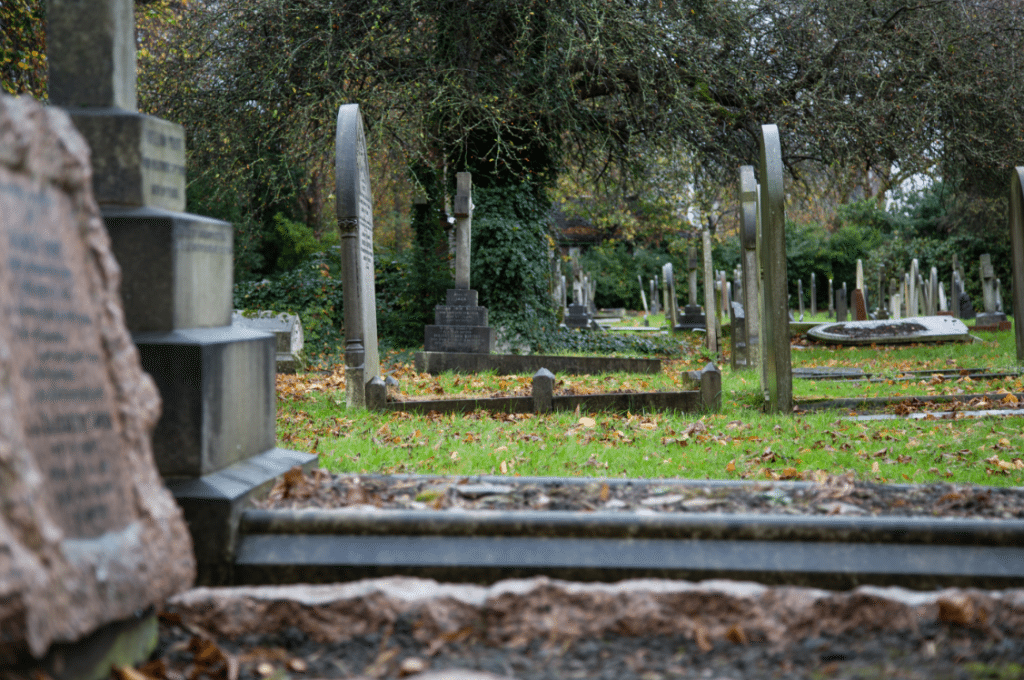 London Cemeteries by Stephanie Sadler, Little Observationist