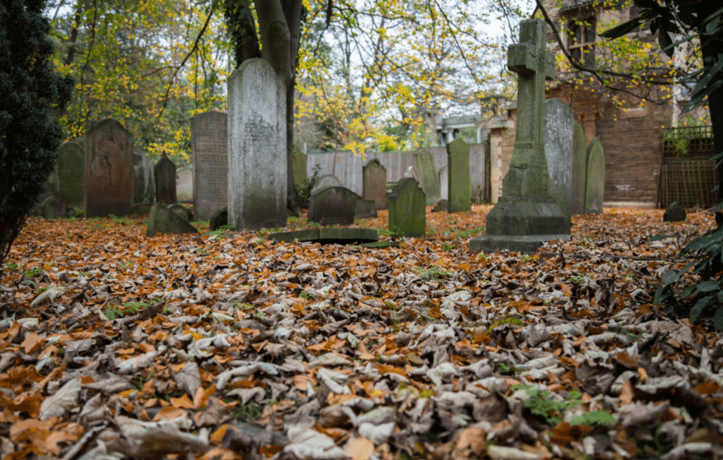 London Cemeteries by Stephanie Sadler, Little Observationist