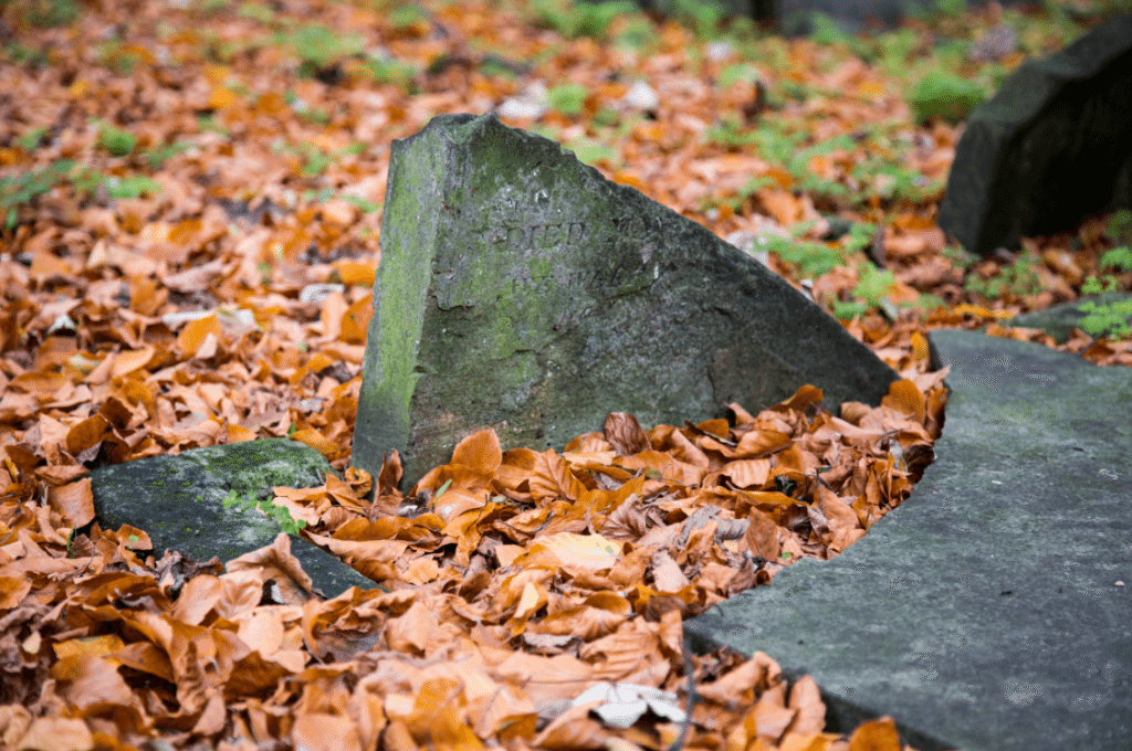 London Cemeteries by Stephanie Sadler, Little Observationist