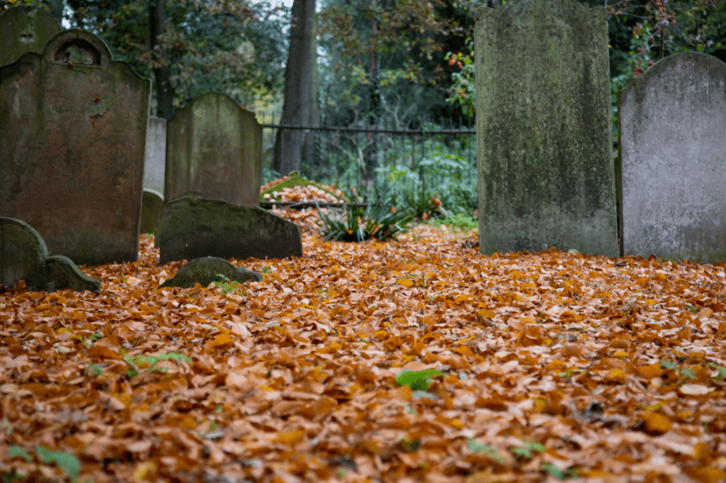 London Cemeteries by Stephanie Sadler, Little Observationist