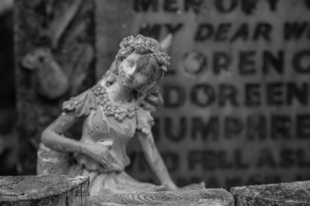 London Cemeteries by Stephanie Sadler, Little Observationist