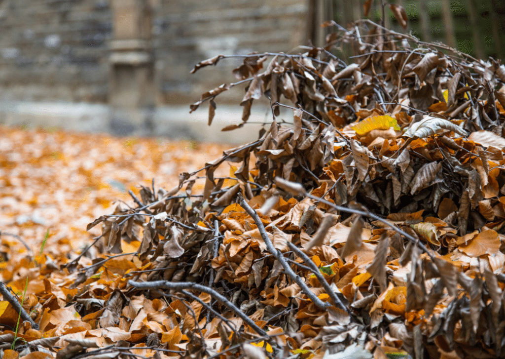 London Cemeteries by Stephanie Sadler, Little Observationist