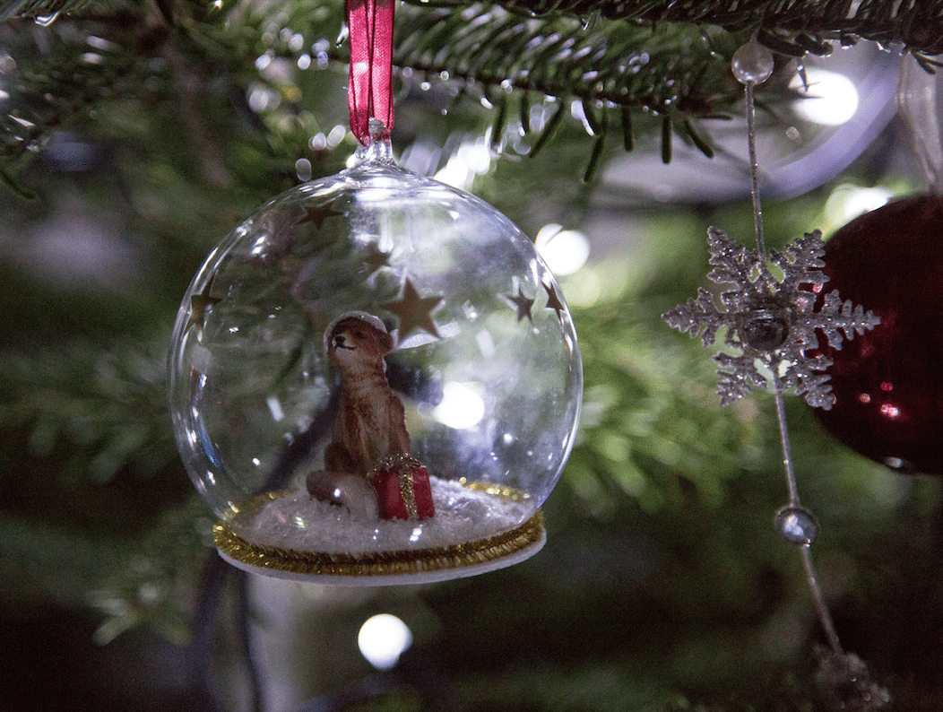 Christmas Ornaments by Stephanie Sadler