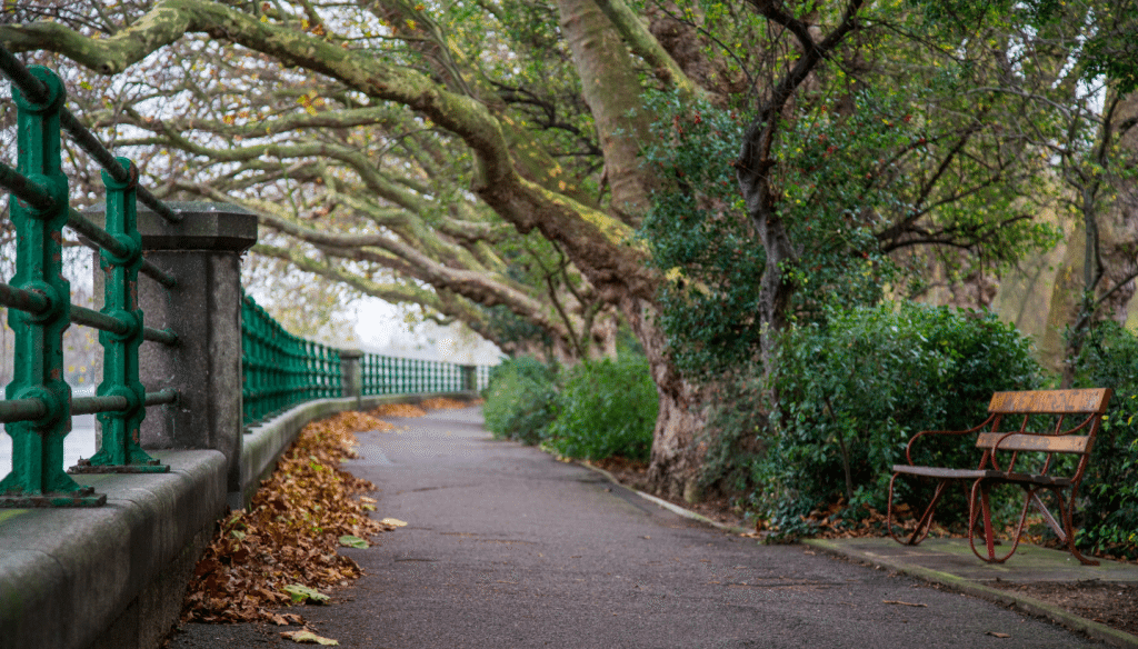 Fulham to Hammersmith, London by Stephanie Sadler, Little Observationist