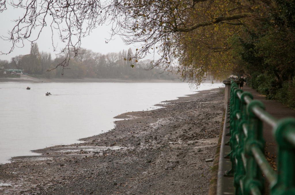 Fulham to Hammersmith, London by Stephanie Sadler, Little Observationist