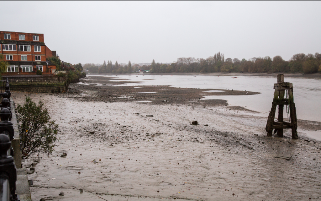 Fulham to Hammersmith, London by Stephanie Sadler, Little Observationist