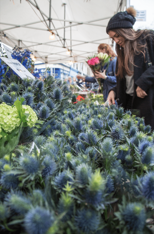 Columbia Road Flower Market, London by Stephanie Sadler, Little Observationist