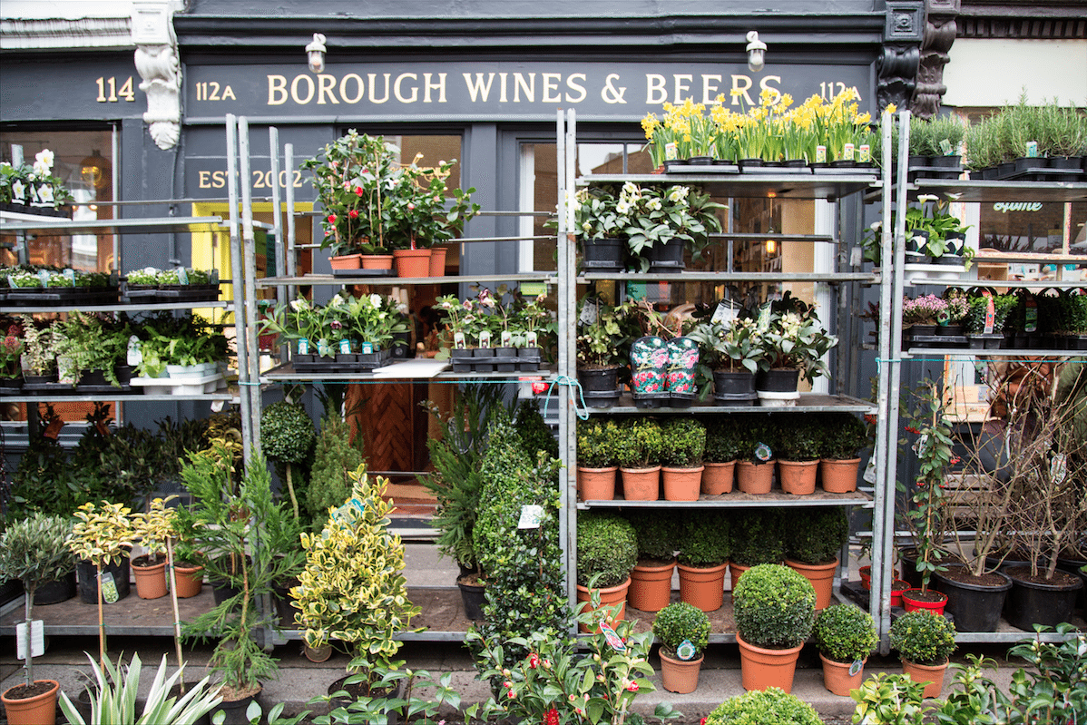 Columbia Road Flower Market, London by Stephanie Sadler, Little Observationist