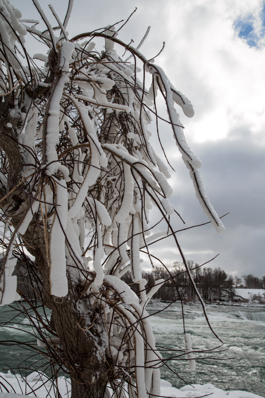 Niagara Falls, New York by Stephanie Sadler