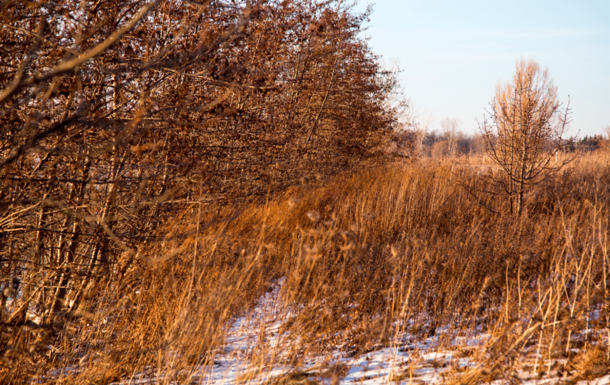 North Tonawanda, New York by Stephanie Sadler