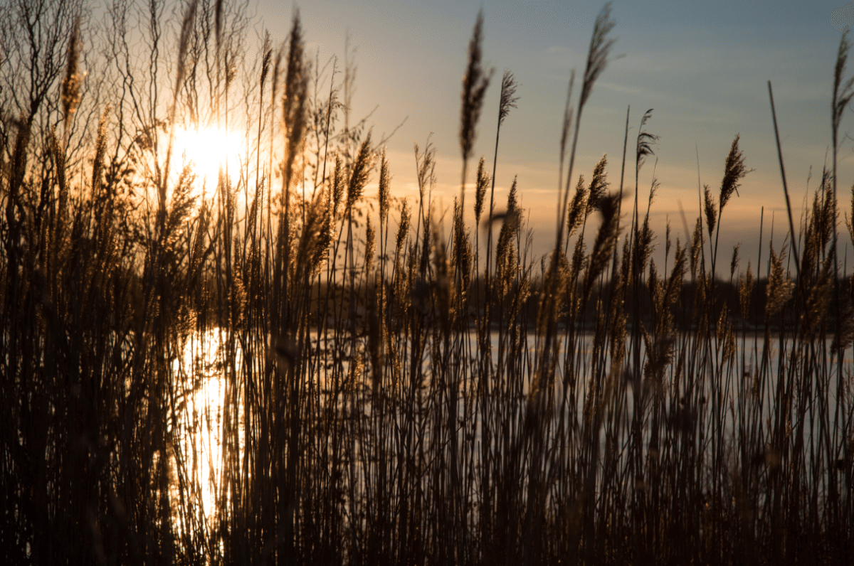 North Tonawanda, New York by Stephanie Sadler