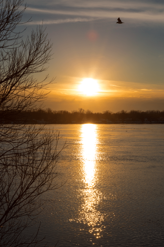 North Tonawanda, New York by Stephanie Sadler