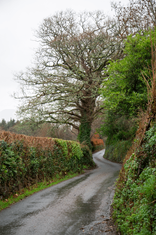 Dartmoor National Park, by Stephanie Sadler - Little Observationist