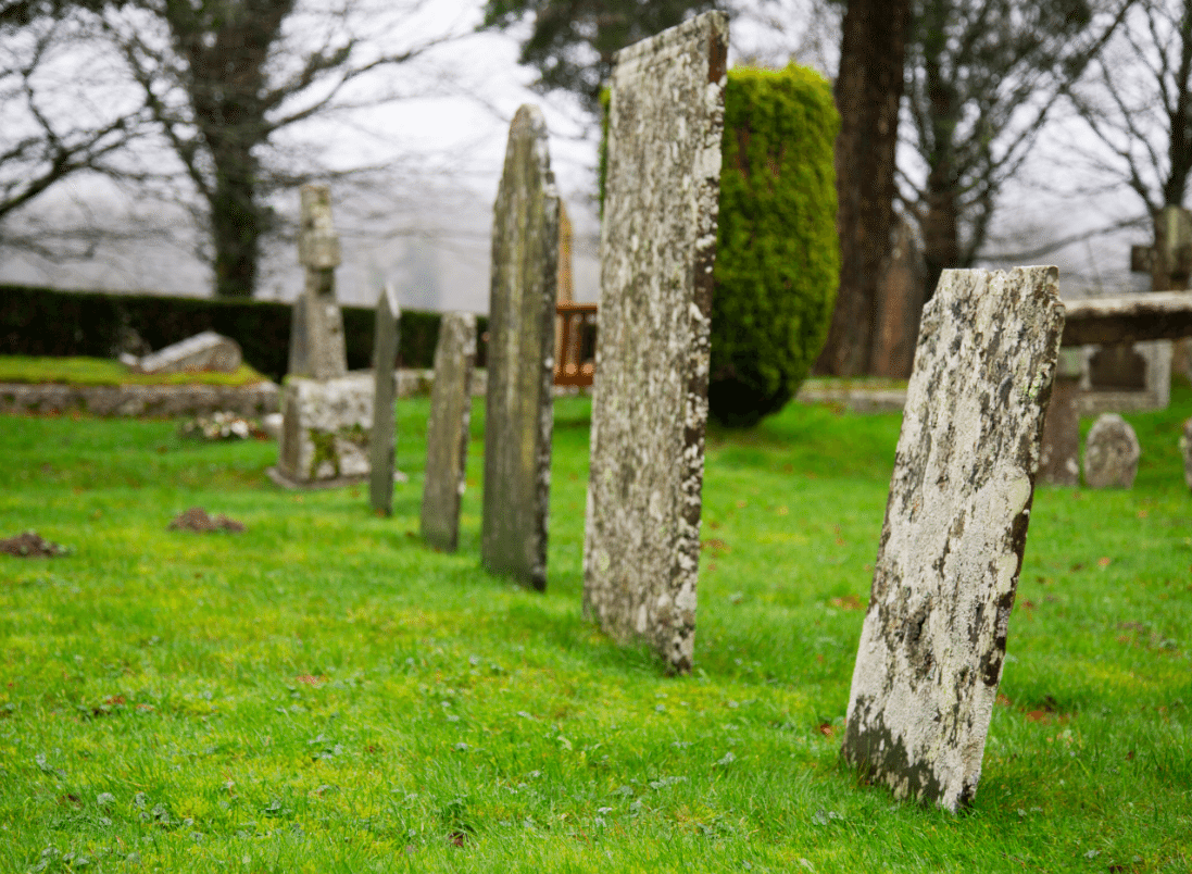 Dartmoor National Park, by Stephanie Sadler - Little Observationist