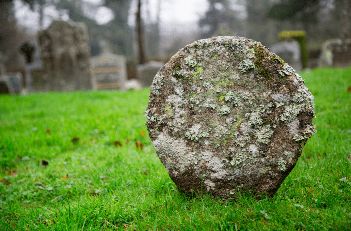 Dartmoor National Park, by Stephanie Sadler - Little Observationist