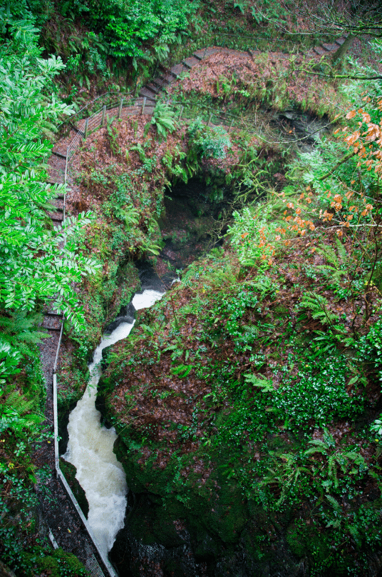 Dartmoor National Park, by Stephanie Sadler - Little Observationist