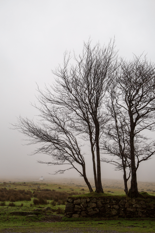 Dartmoor National Park, by Stephanie Sadler - Little Observationist